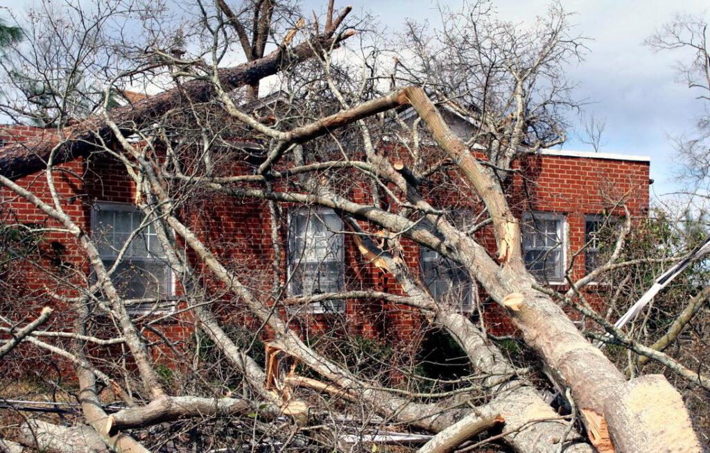 mansfield-tree-service-emergency-service-1_orig