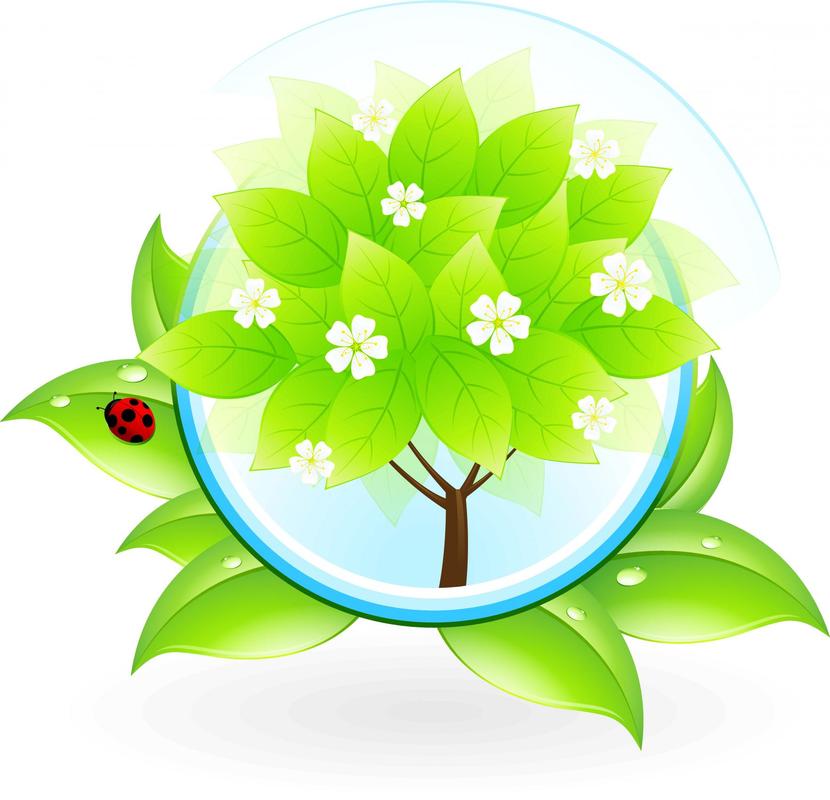 mansfield-tree-service-home_orig